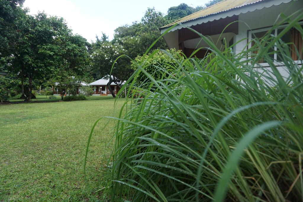 Chalet Bamboo Vert La Digue Exteriör bild