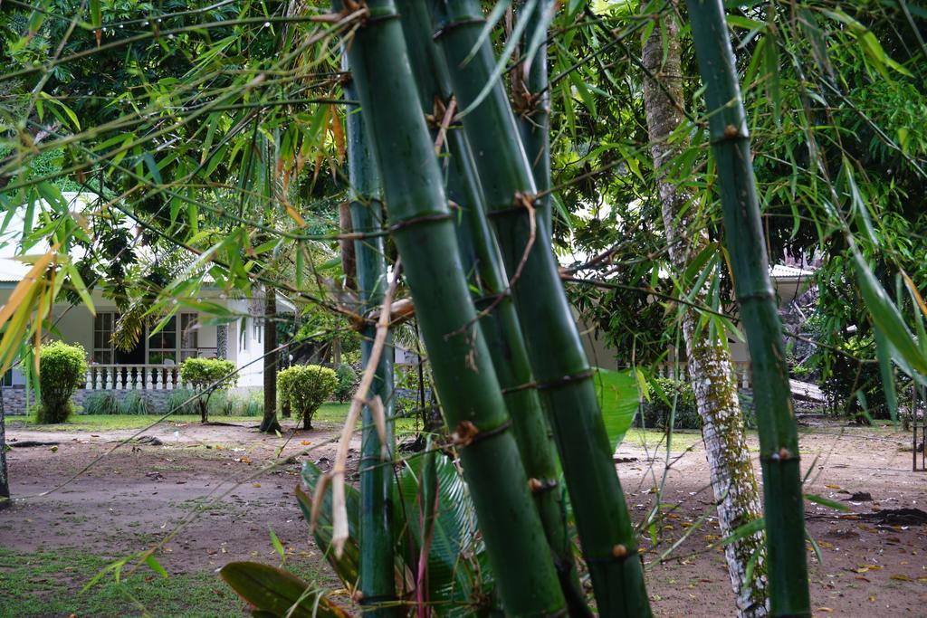 Chalet Bamboo Vert La Digue Exteriör bild